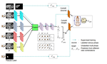 Co-Heterogeneous and Adaptive Segmentation from Multi-Source and Multi-Phase CT Imaging Data: A Study on Pathological Liver and Lesion Segmentation