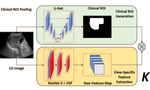 Reliable Liver Fibrosis Assessment from Ultrasound using Global Hetero-Image Fusion and View-Specific Parameterization