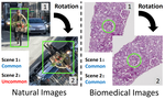 CircleNet: Anchor-free Detection with Circle Representation