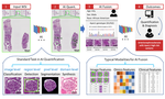 AI Applications in Renal Pathology