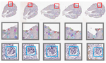 Map3D: Registration Based Multi-Object Tracking on 3D Serial Whole Slide Images