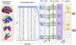 From Brain to Body: Learning Low-Frequency Respiration and Cardiac Signals from fMRI Dynamics