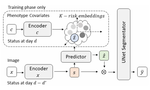Pancreas CT Segmentation by Predictive Phenotyping