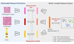 Multi-modal Learning with Missing Data for Cancer Diagnosis using Histopathological and Genomic Data