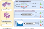 MAg: a Simple Learning-based Patient-level Aggregation Method for Detecting Microsatellite Instability from Whole-slide Images