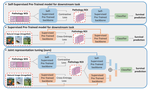 Leverage Supervised and Self-supervised Pretrain Models for Pathological Survival Analysis via a Simple and Low-cost Joint Representation Tuning