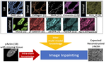 Inpainting Missing Tissue in Multiplexed Immunofluorescence Imaging