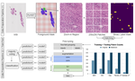 Eosinophilic Esophagitis Multi-label Feature Recognition on Whole Slide Imaging using Transfer Learning