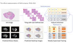 Large-Scale Patch-Wise Pathological Image Feature Dataset with a Hardware-agnostic Feature Extraction Tool